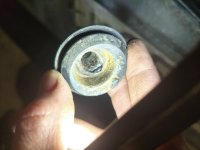 12XD1AA1SUcYHM8zsi1gp3w-RUXA-1920.jpg