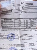YUq1LKX2ywxUlhLvN3mpKU2c9nM-1920.jpg